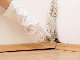 Reliable Roland, AR Mold Removal & Remediation Solutions